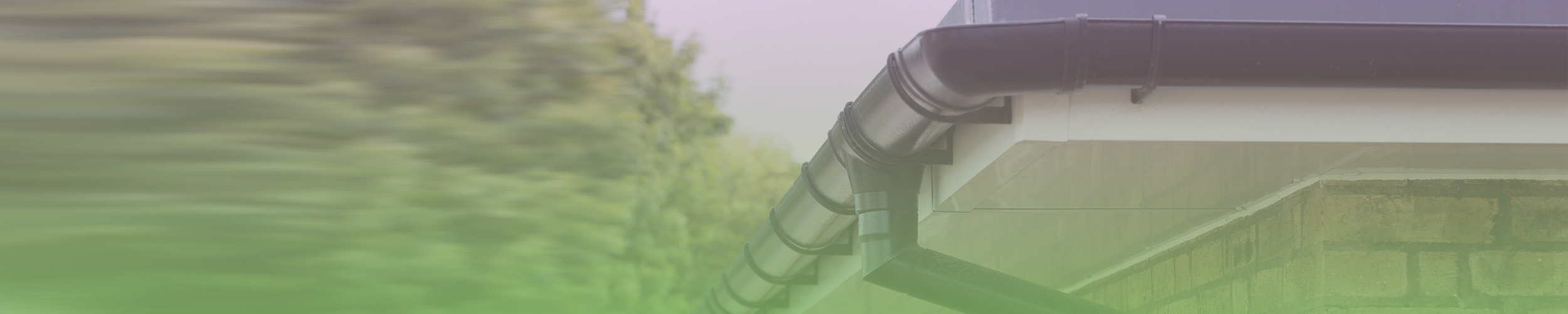 Evolve Ogee Leafguard